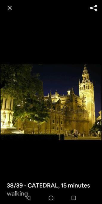 Appartement En El Casco Antiguo Junto Alameda H. Sevilla